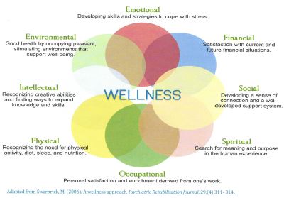 Recovery wellness programs