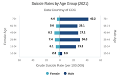 Suicide Rates by Age Group (2021)