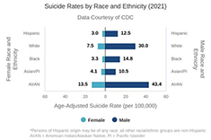 Suicide Rates by Race and Ethnicity (2021)