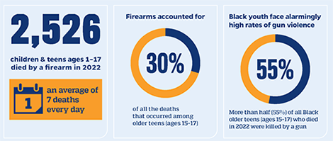 Gun violence in the united states